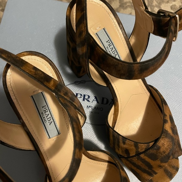 Leopard Prada Sandal - Picture 6 of 7